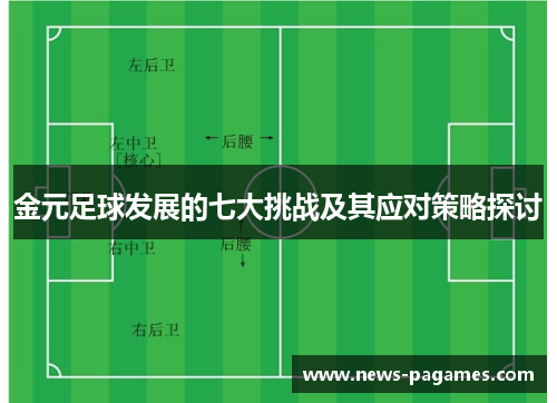 金元足球发展的七大挑战及其应对策略探讨
