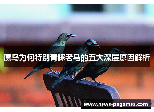魔鸟为何特别青睐老马的五大深层原因解析