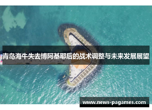 青岛海牛失去博阿基耶后的战术调整与未来发展展望